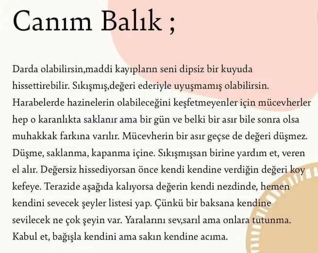 koç yeniayı1 (16).webp