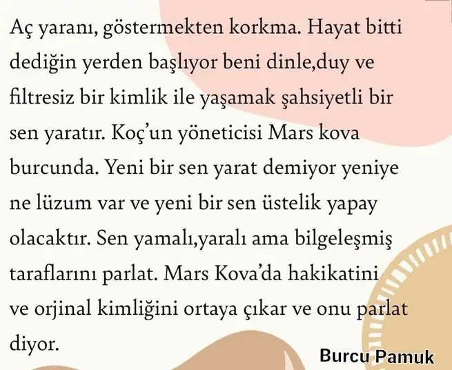 koç yeniayı1 (4).webp