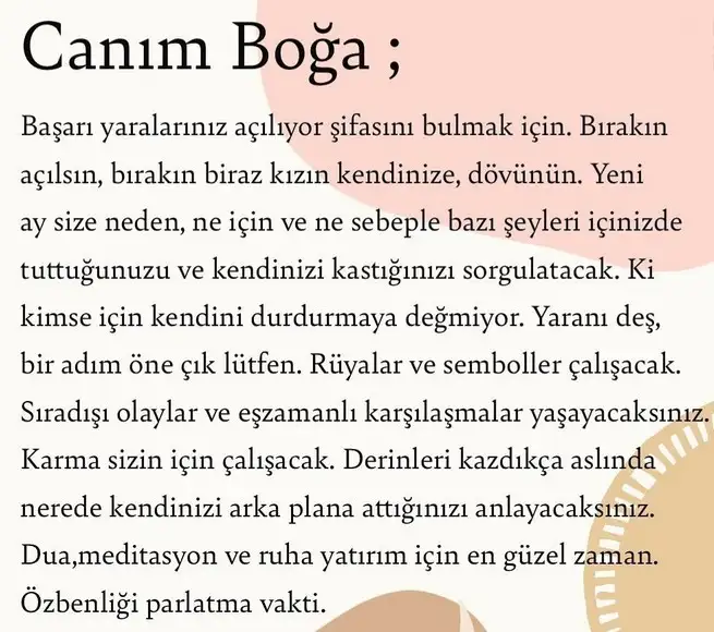 koç yeniayı1 (6).webp