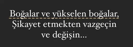 koç yeniayı11 (4).webp