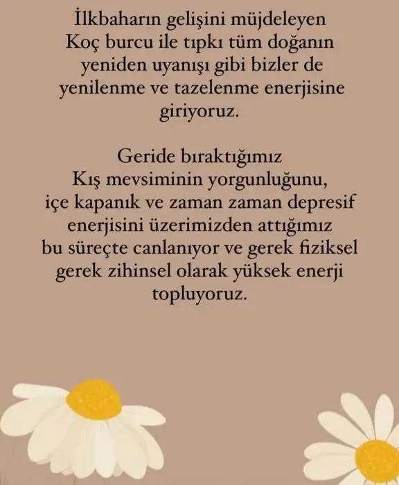 koç yeniayı12 (2).webp