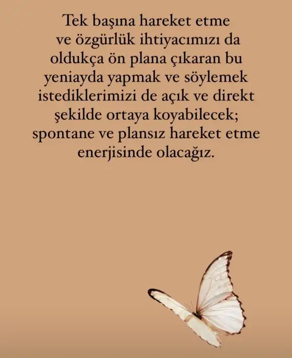 koç yeniayı12 (4).webp
