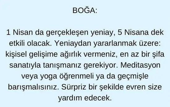 koç yeniayı13 (3).webp