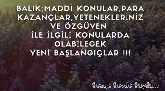 koç yeniayı3 (12).webp