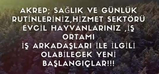 koç yeniayı3 (8).webp