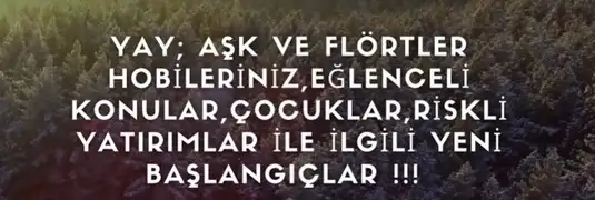 koç yeniayı3 (9).webp