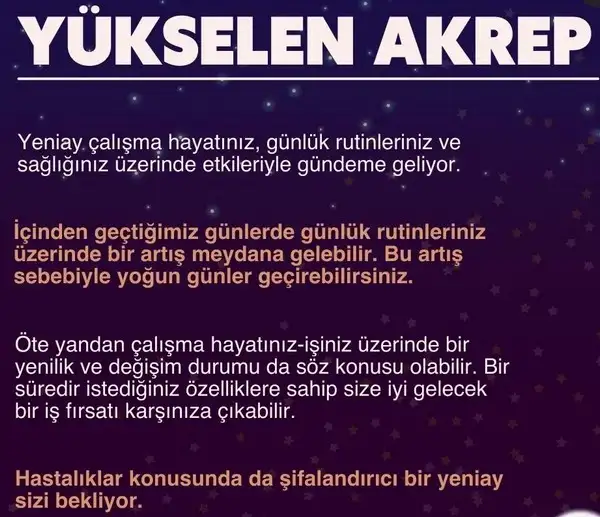 koç yeniayı5 (10).webp