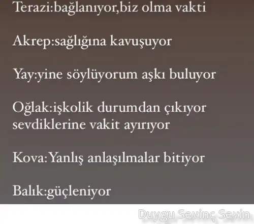 koç yeniayı9 (2).webp
