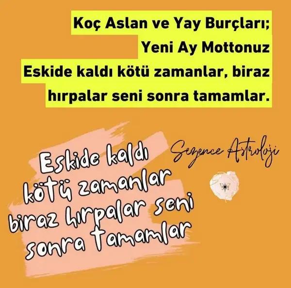 koç yeniayo6 (6).webp