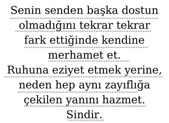 koç0 (9).webp