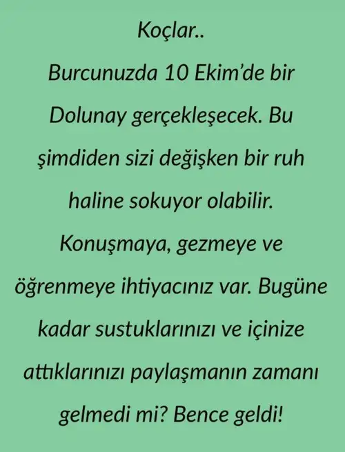 koç1 (1).webp