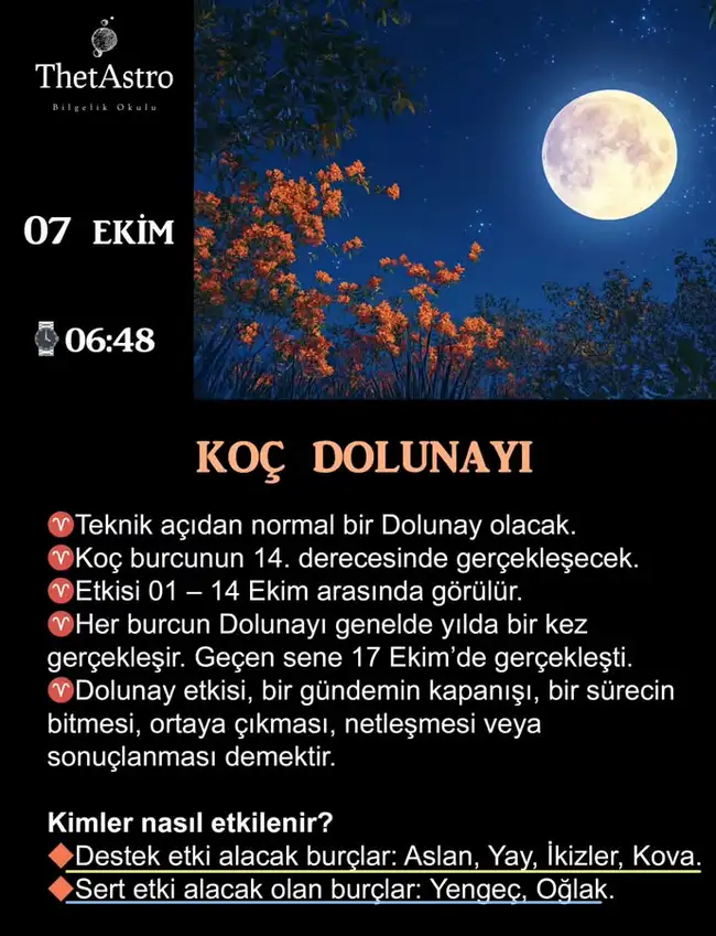 koç1 (1).webp