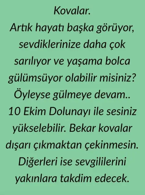 koç1 (11).webp