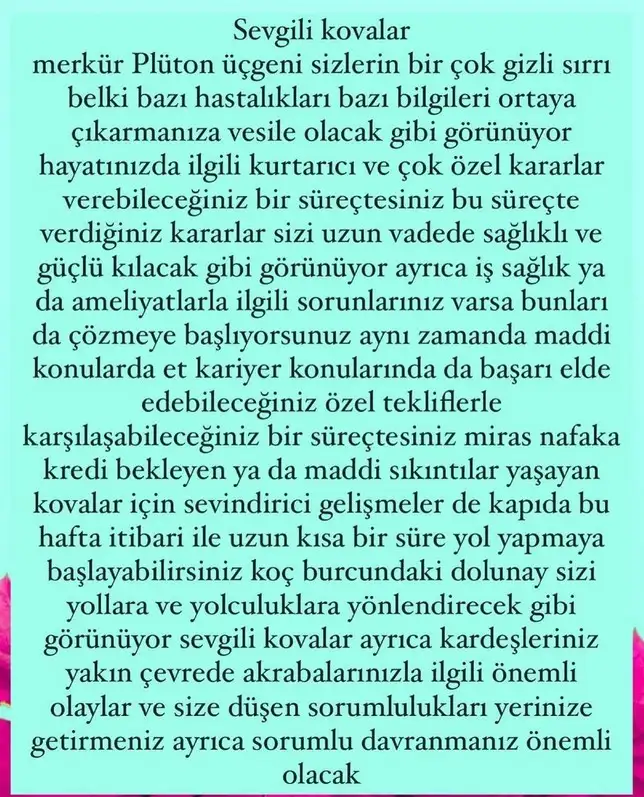 koç1 (22).webp