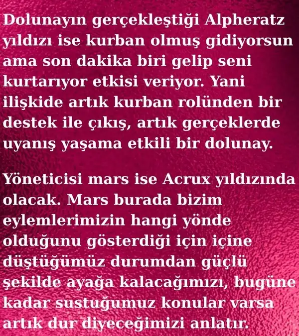 koç1 (3).webp