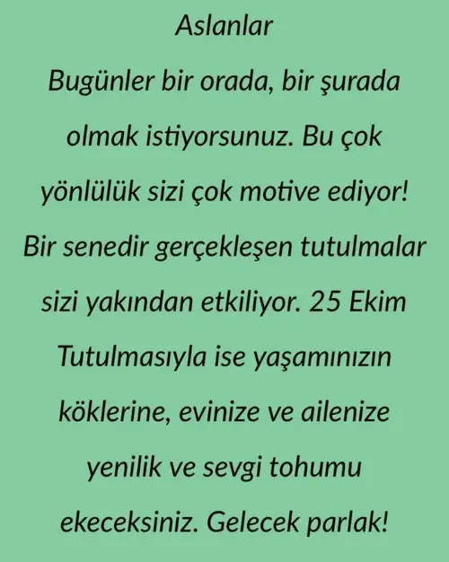 koç1 (5).webp
