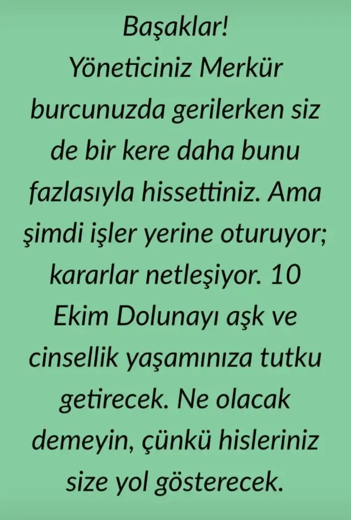 koç1 (6).webp