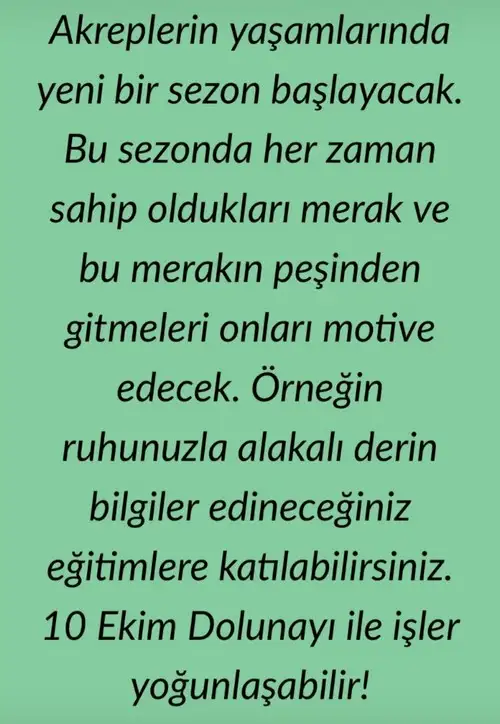 koç1 (8).webp