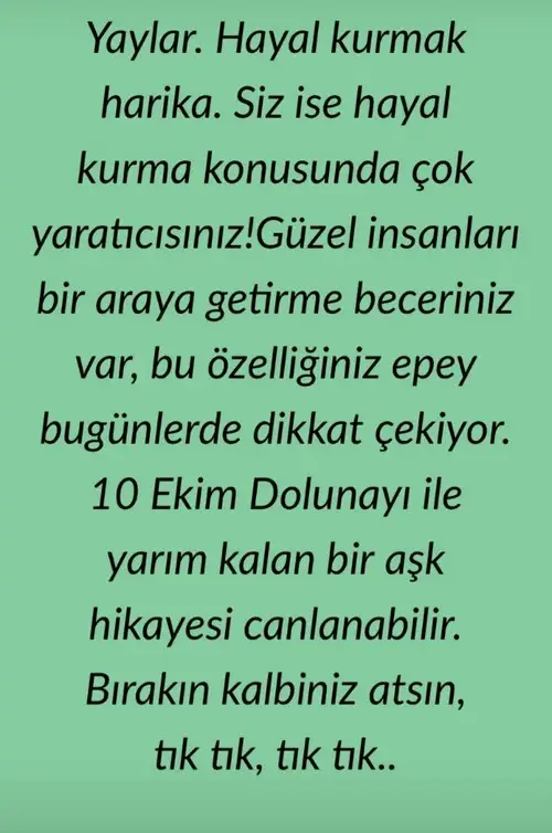 koç1 (9).webp