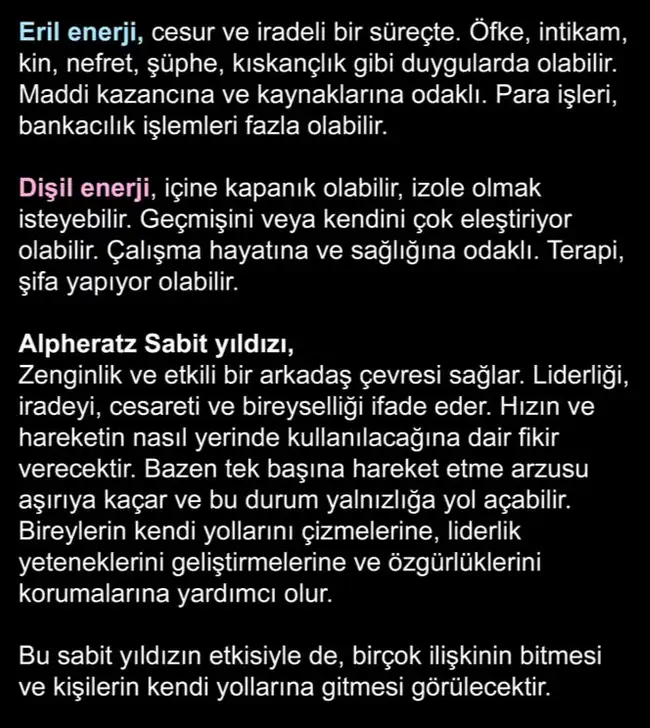 koç1 (9).webp