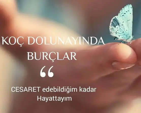 koç10 (1).webp