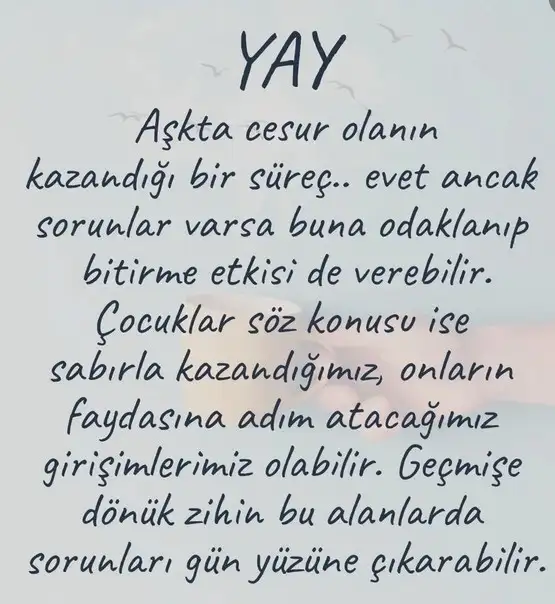 koç10 (10).webp