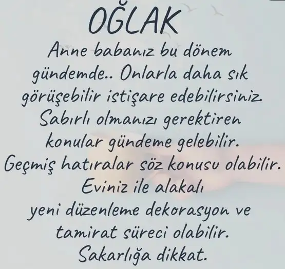 koç10 (11).webp