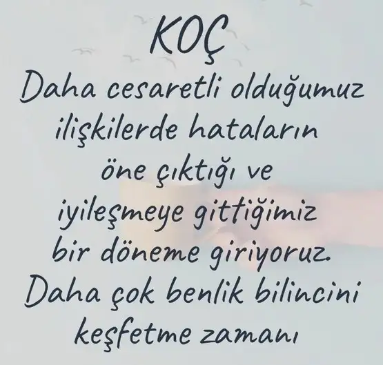 koç10 (2).webp
