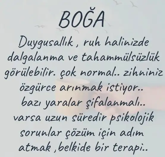 koç10 (3).webp