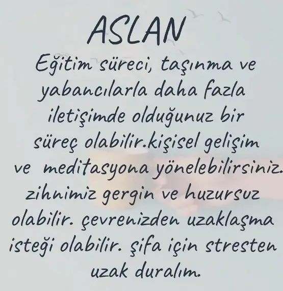 koç10 (6).webp