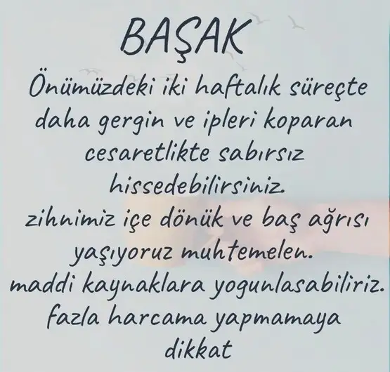 koç10 (7).webp