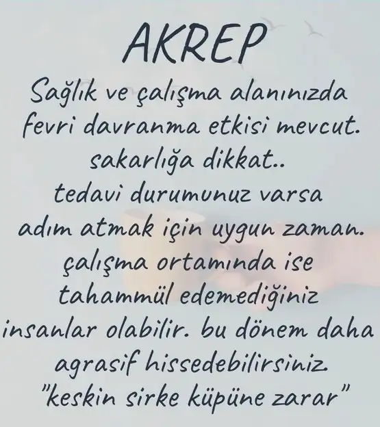 koç10 (9).webp