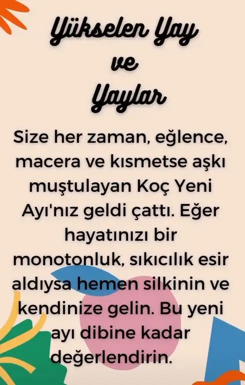 koç11 (11).webp