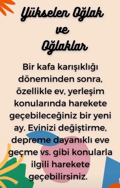koç11 (12).webp