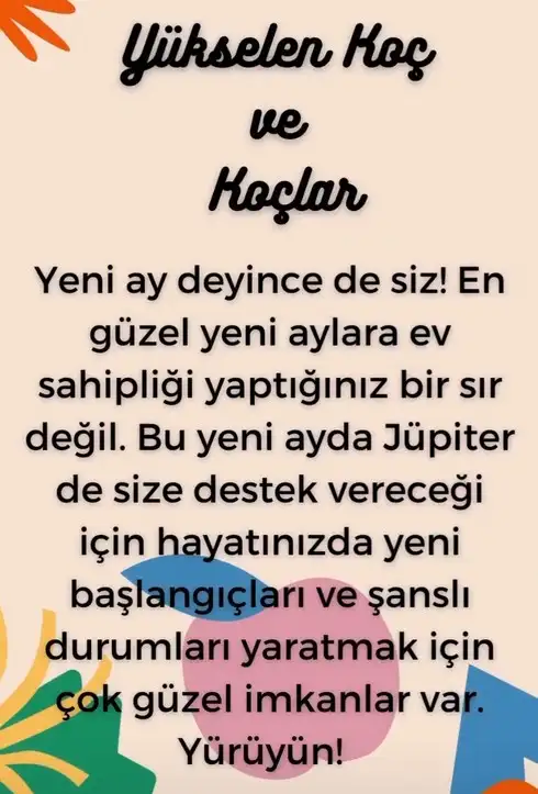 koç11 (3).webp