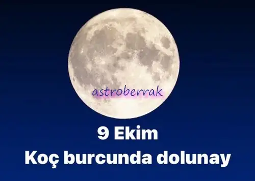 koç12 (1).webp