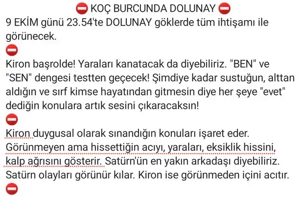 koç12a.webp