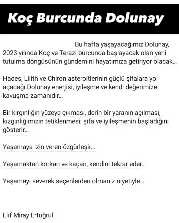 koç15.webp