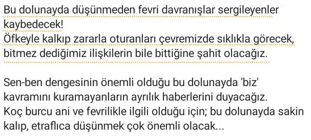 koç17 (2).webp
