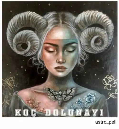 koç18 (1).webp