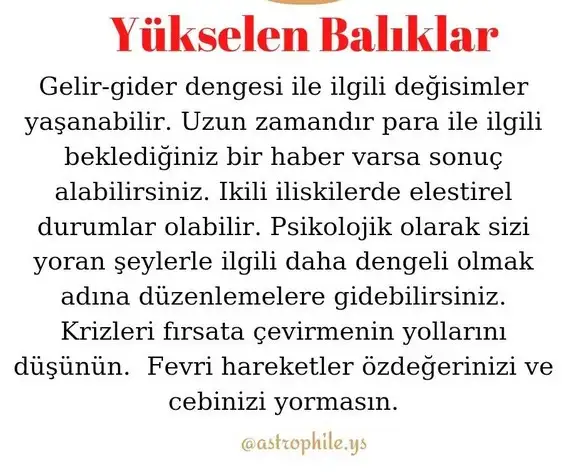 koç19 (13).webp
