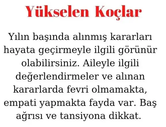 koç19 (2).webp