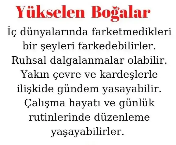 koç19 (3).webp
