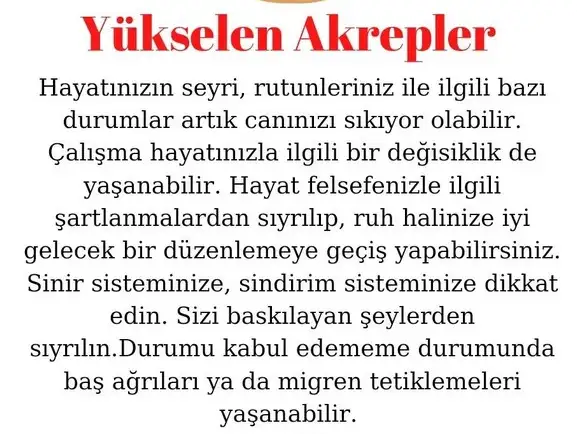 koç19 (9).webp