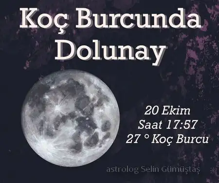 koç2 (1).webp