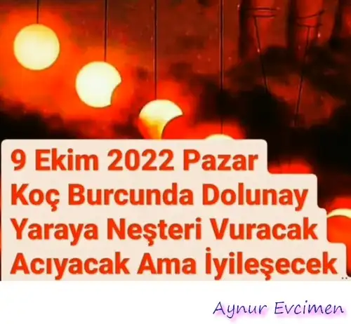koç2 (1).webp