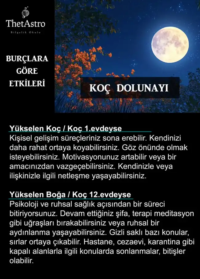 koç2 (1).webp