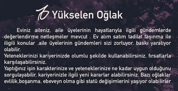 koç2 (11).webp