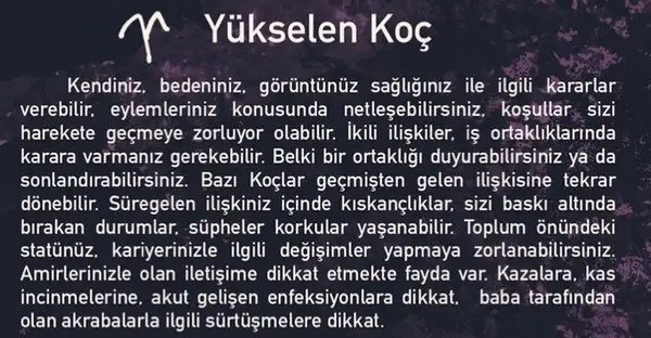 koç2 (2).webp