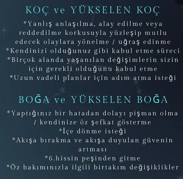 koç2 (2).webp